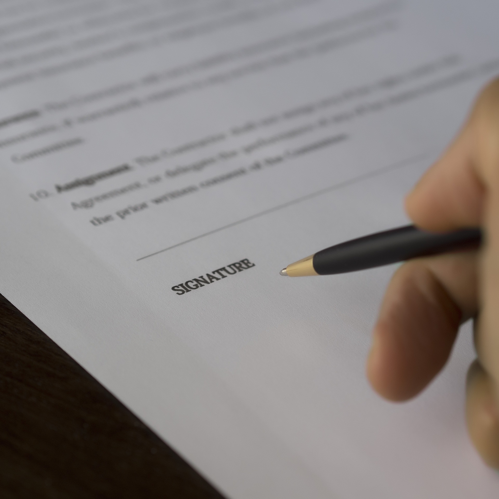 Read more about the article פרק 13: החוזה עם חברת בניית האתרים